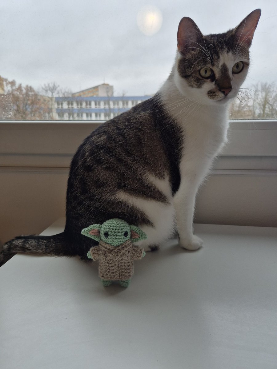 Look what I crocheted 😊
#BabyYoda #StarWars