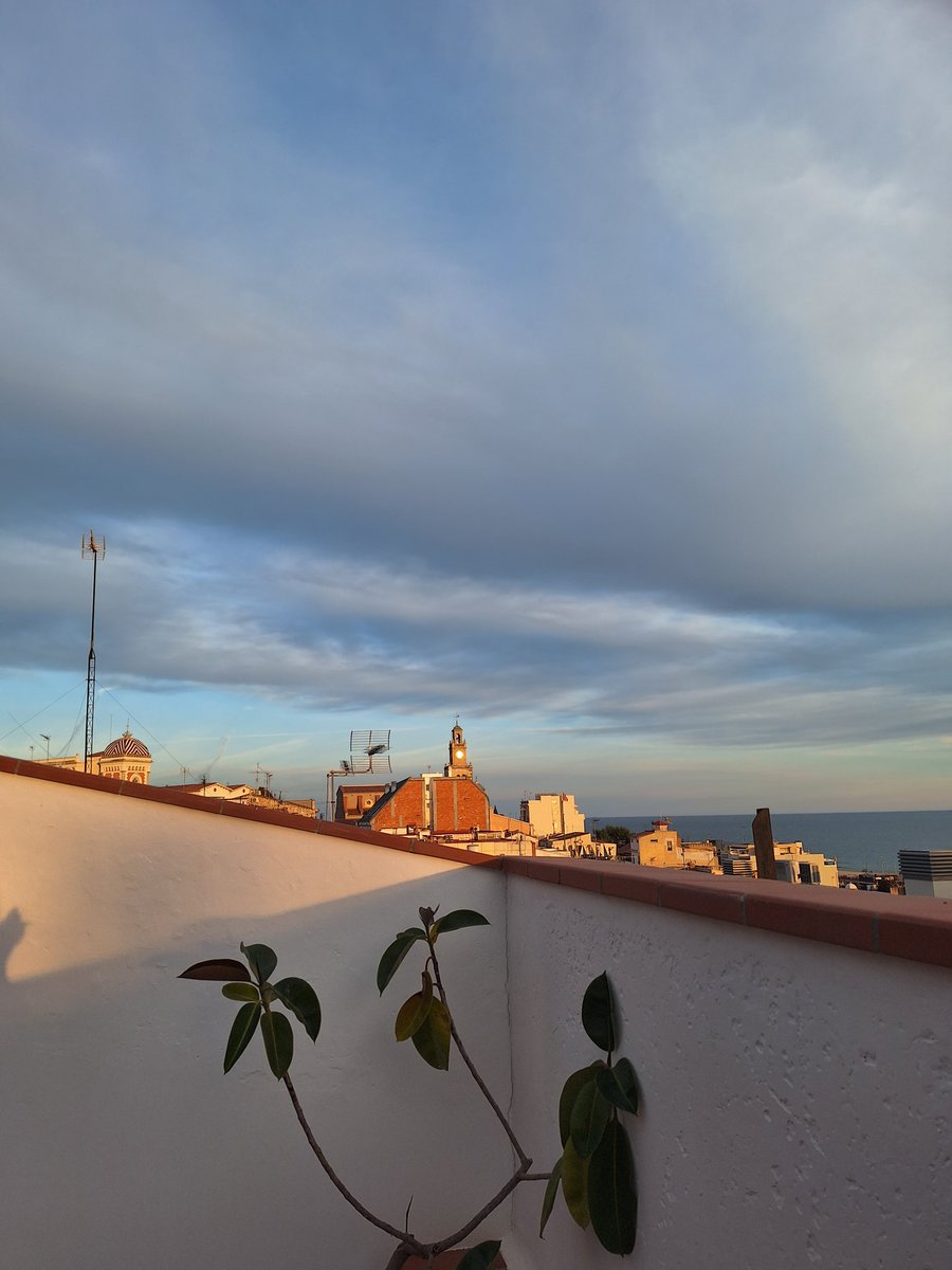 maria ferre alberola (@mferreal1) on Twitter photo 