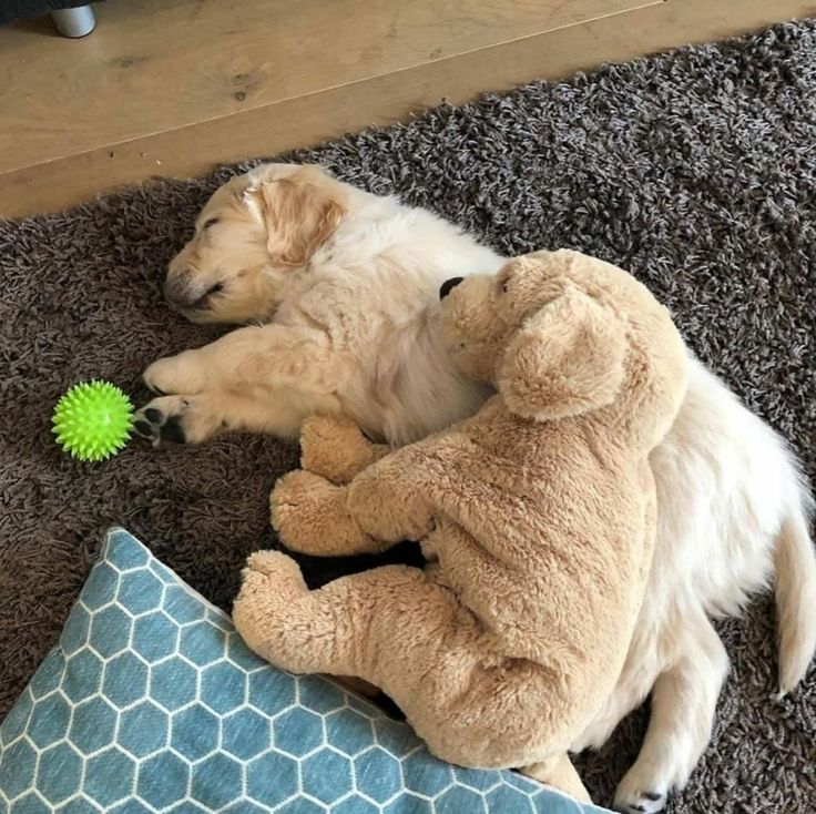 Best Of Photography (@graphiphoto) on Twitter photo 