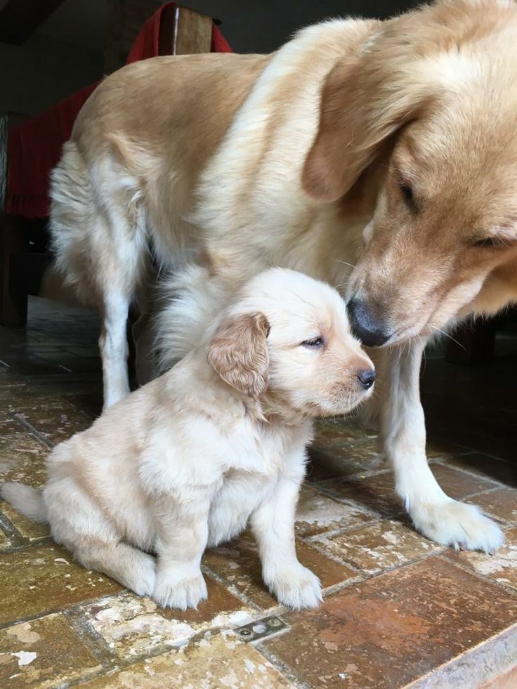 Best Of Photography (@graphiphoto) on Twitter photo 