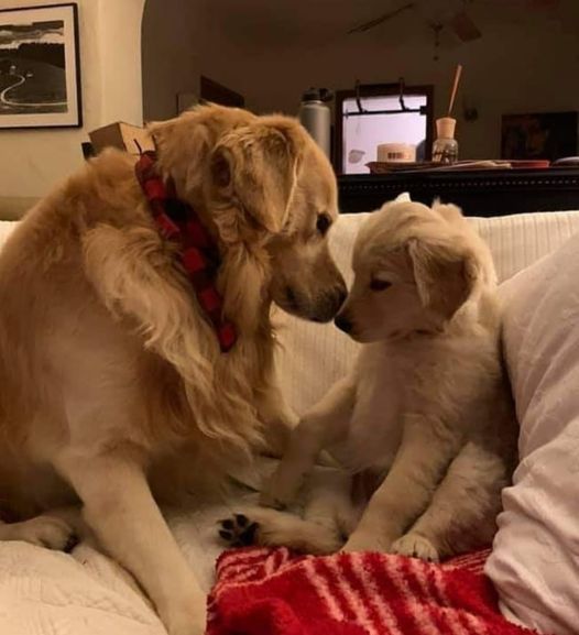 Best Of Photography (@graphiphoto) on Twitter photo 