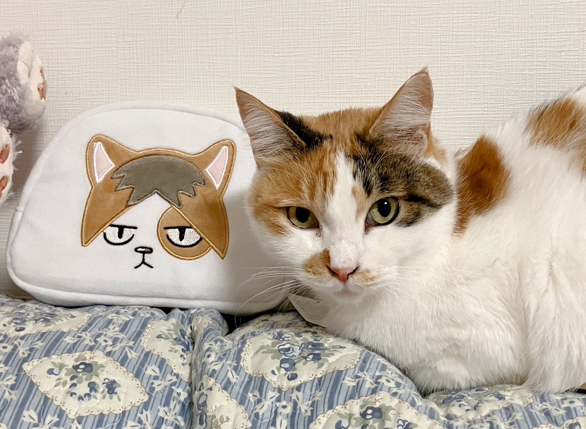 にてる！