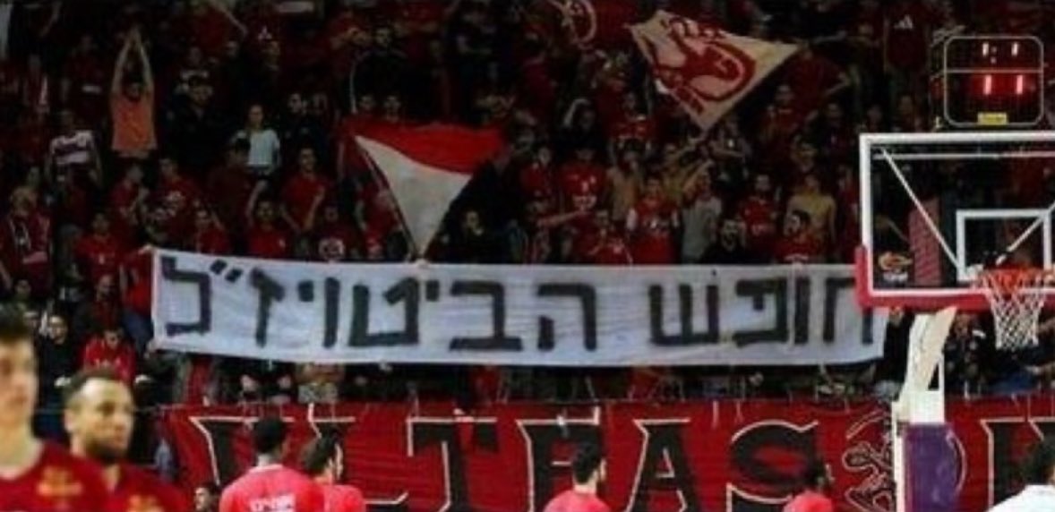 Itaysabag_ (@itaythegever) on Twitter photo 