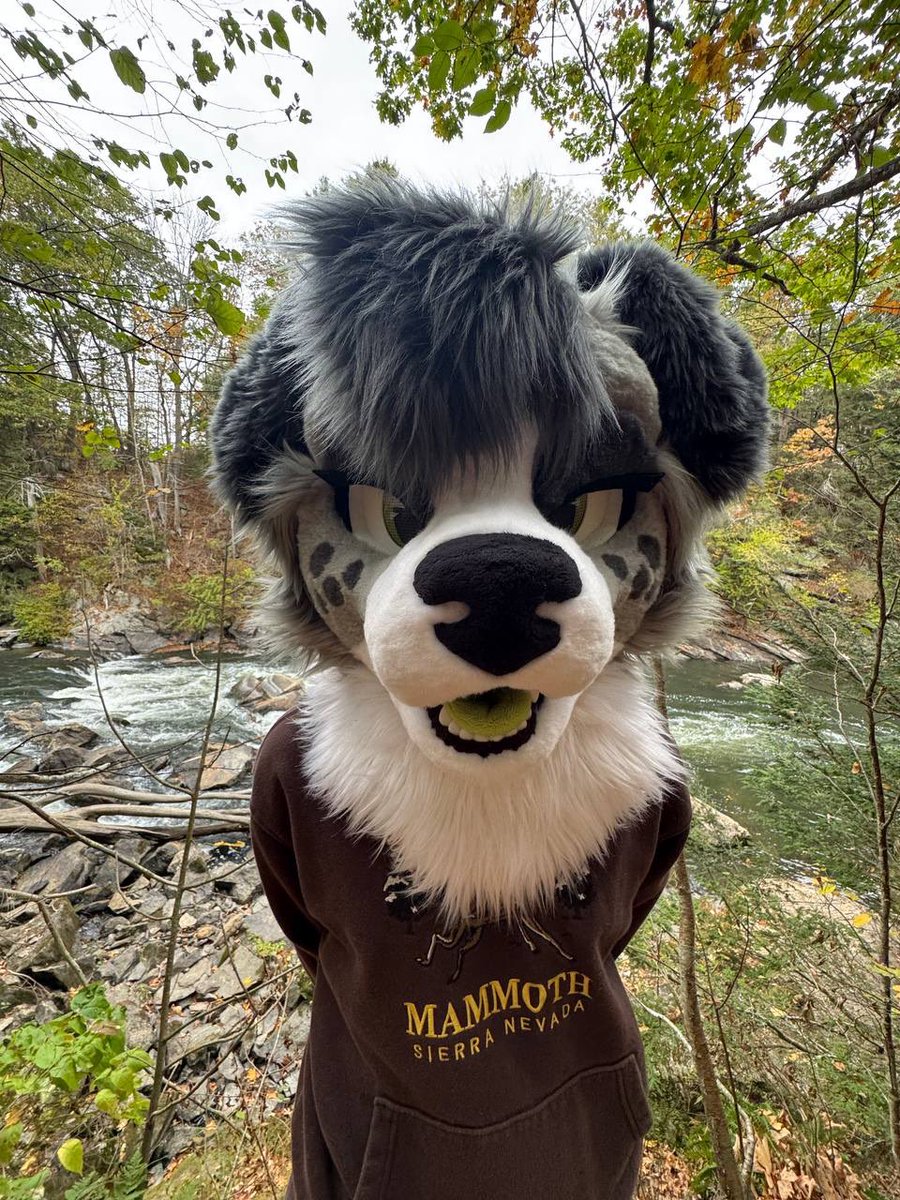 CollieChar's tweet image. where the #FUZZ at??