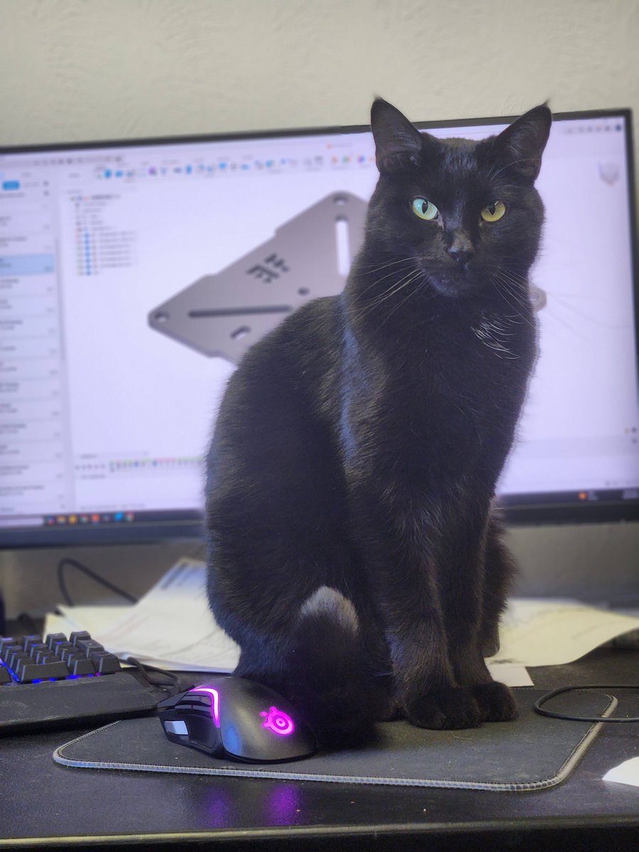 EntFabLLC's tweet photo. Skillet has been hard at work updating drawings and designing new accessories. He's showing up everyone else and making sure our products stay the most versatile, dependable solutions available to the industry.

#caturday
#liveevents 
#manufacturing 
#rigging https://t.co/OIe2IDFJ6R