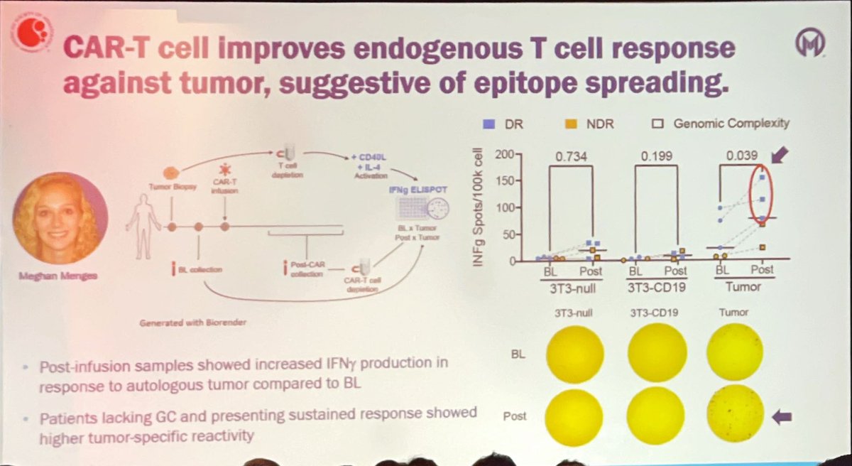 Strong data from <a href="/DrFredLocke/">Frederick L. Locke</a> lab et al supporting what was up to now only intuited; namely, that non-engineered endogenous T cells contribute to CD19 CAR T efficacy. Loss of MHC-I was identified as a key resistance mechanism.
Should we look at this more systematically in the