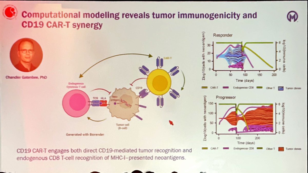 drjgauthier's tweet photo. Strong data from @DrFredLocke lab et al supporting what was up to now only intuited; namely, that non-engineered endogenous T cells contribute to CD19 CAR T efficacy. Loss of MHC-I was identified as a key resistance mechanism.
Should we look at this more systematically in the post-CAR relapse setting? 😉 Does it also predict response to bispecifics?
#ASH25 #CARTx #lymsm