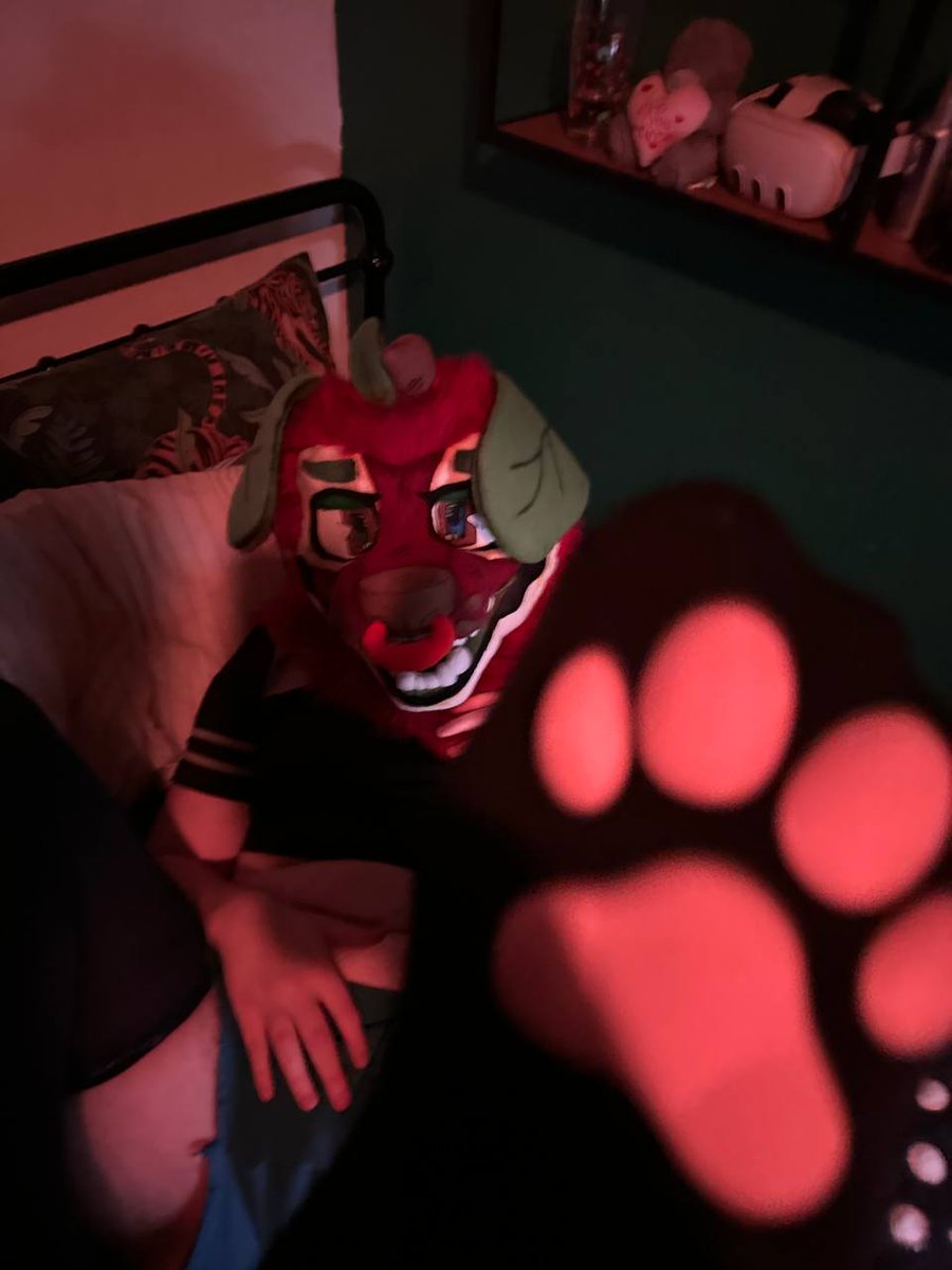 Bramley🍎 tweet media