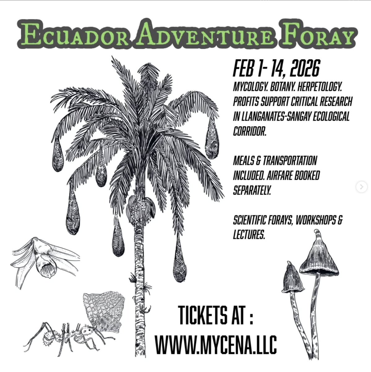 Alan Rockefeller tweet media