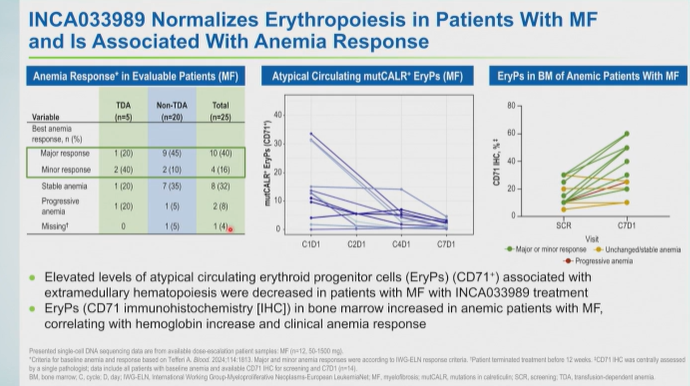 MPN_Hub's tweet photo. CONGRESS | #ASH25 | PRESENTATION

Bethan Psaila shares findings from a molecular characterization study of patients with ET and MF (N = 110) treated with novel IgG1 monoclonal antibody INCA033989, which selectively inhibits oncogenic signaling and proliferation of cells expressing mutCALR and thrombopoietin receptor.

A rapid and selective reduction in mutCALR+ HSPCs and MKs was observed within 4 months of INCA033989 treatment and correlated with clinical responses, suggestive of potential disease modification and recovery of normal hematopoiesis.

Follow our live feed for more updates: https://t.co/Z99bijEUG4

Intended for HCPs only. This congress coverage is independently supported by pharmaceutical companies, who are allowed no influence on the content; a full list of supporters can be found on our website.
#MPN #mpnsm #MedEd @NewCollegeOx