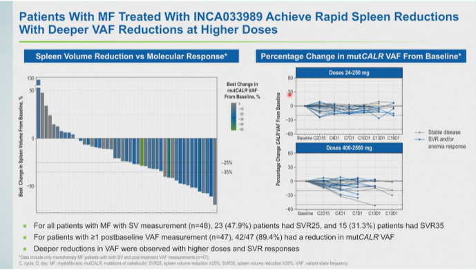 MPN_Hub's tweet photo. CONGRESS | #ASH25 | PRESENTATION

Bethan Psaila shares findings from a molecular characterization study of patients with ET and MF (N = 110) treated with novel IgG1 monoclonal antibody INCA033989, which selectively inhibits oncogenic signaling and proliferation of cells expressing mutCALR and thrombopoietin receptor.

A rapid and selective reduction in mutCALR+ HSPCs and MKs was observed within 4 months of INCA033989 treatment and correlated with clinical responses, suggestive of potential disease modification and recovery of normal hematopoiesis.

Follow our live feed for more updates: https://t.co/Z99bijEUG4

Intended for HCPs only. This congress coverage is independently supported by pharmaceutical companies, who are allowed no influence on the content; a full list of supporters can be found on our website.
#MPN #mpnsm #MedEd @NewCollegeOx