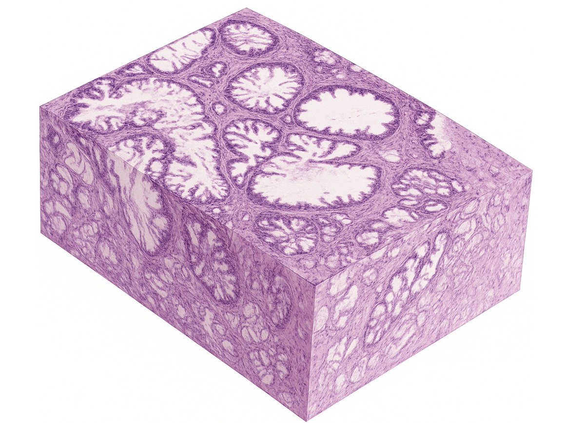 Ali Max Erturk tweet media