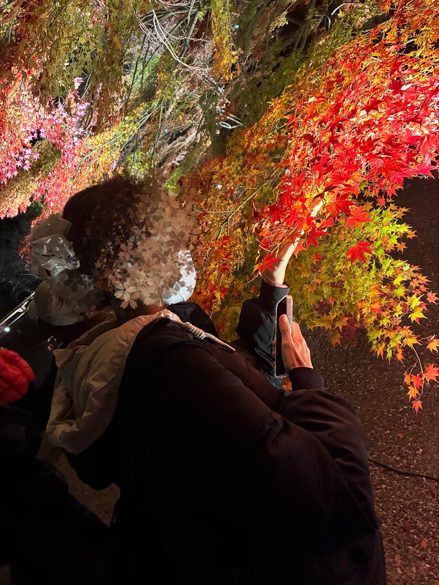 NOA (@dxtnoanoa) / Posts / X