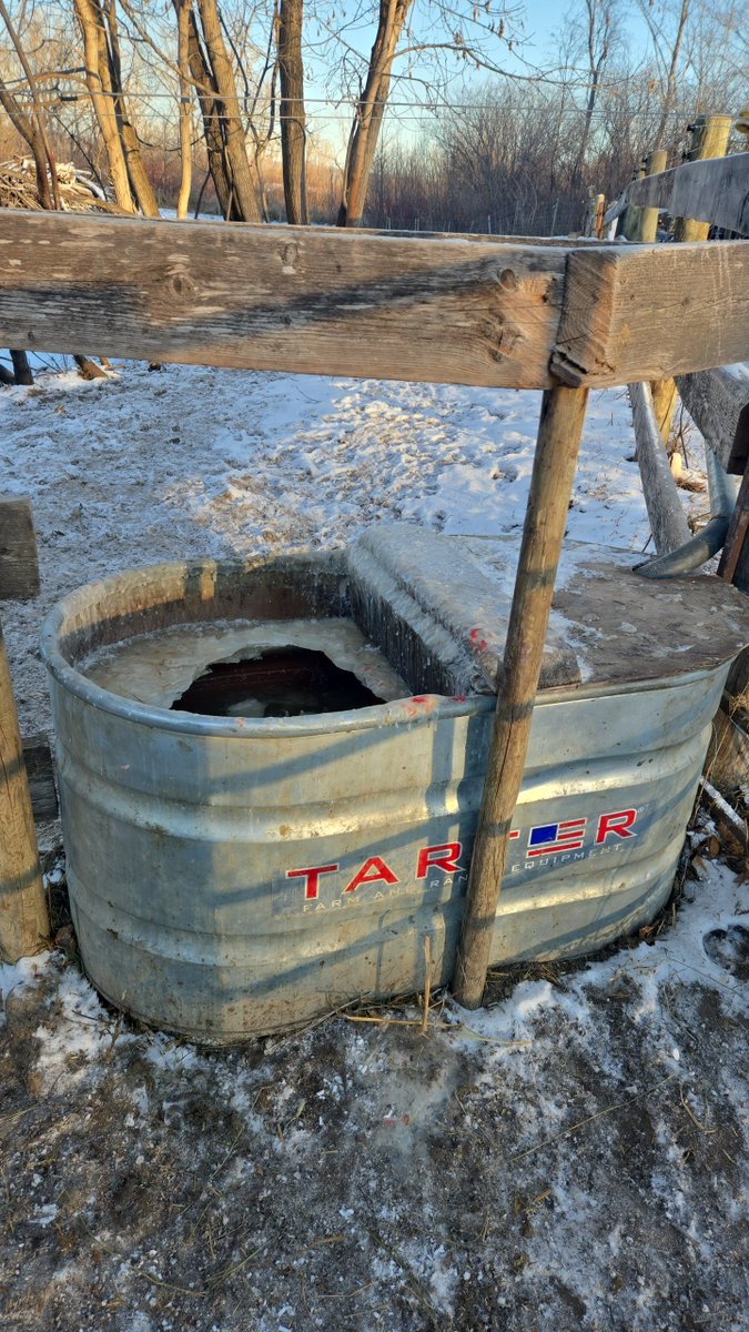 Ryan Hofford tweet media