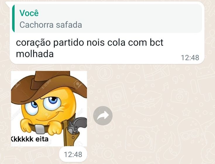 Pérolas do ZAP  tweet media