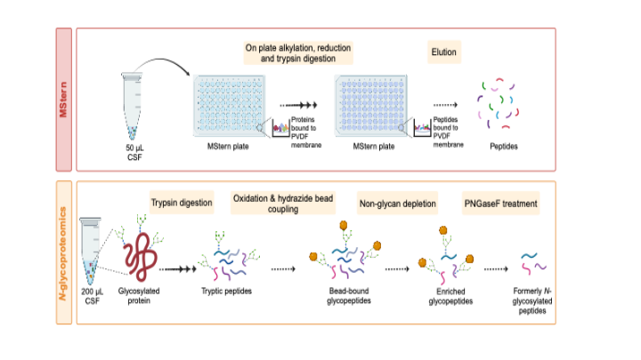 Alireza Mansouri tweet media