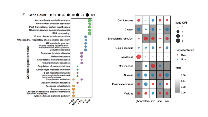 Thrilled to announce the publication of our latest open-access research, "Comparative evaluation of analytical methods for CSF proteomics" in Clinical Proteomics! 🍾🔬 <a href="/ThomasKislinger/">Thomas Kislinger</a> <a href="/PennStNeurosurg/">Penn State Neurosurgery</a> <a href="/UofT/">University of Toronto</a> 

Read the full paper here: pmc.ncbi.nlm.nih.gov/articles/PMC12…

Why it matters: