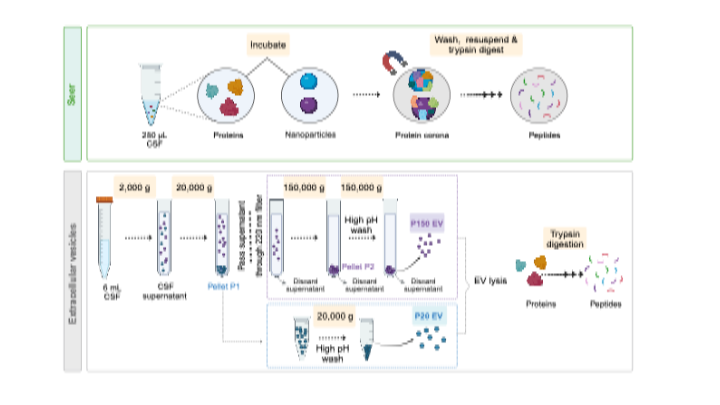 Alireza Mansouri tweet media