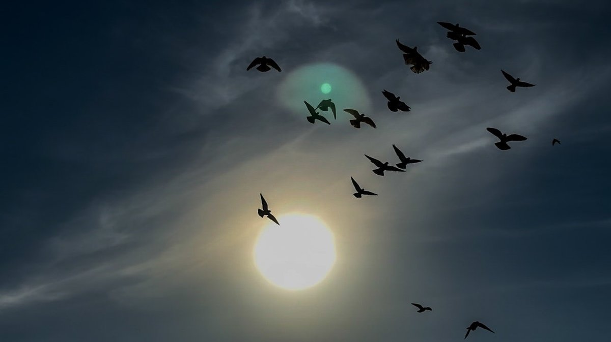 Sugar1_10's tweet image. صنائعُ اللهِ لا نُحصي لها عَدَدا
 فَنَحْمَدُ الله حَمداً دائماً أَبدا💛🌿.