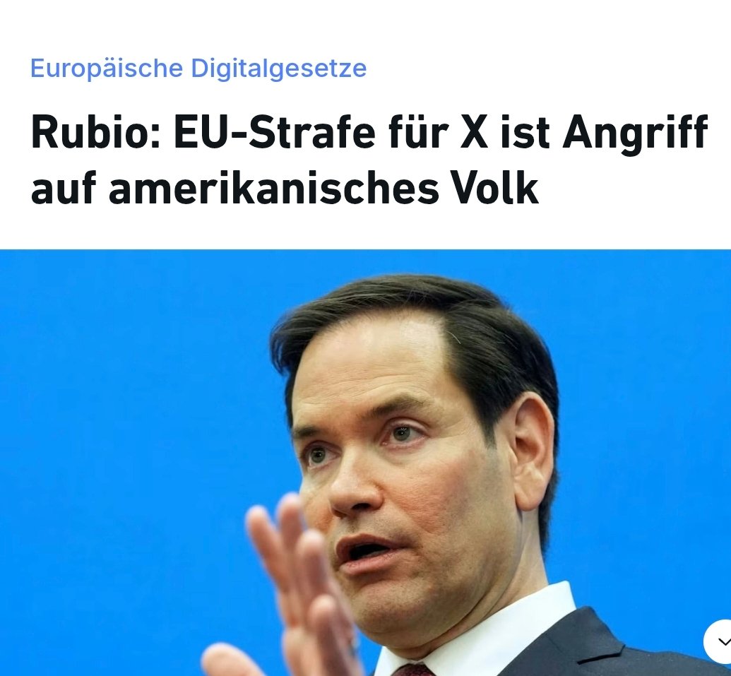 Petr Bystron tweet media