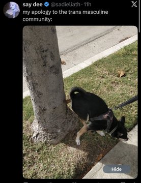 DewEnjoyer's tweet photo. "I don't interpersonally fuck with trans men anymore following abuse" 

What actually happened: https://t.co/QxD4lQns9P
