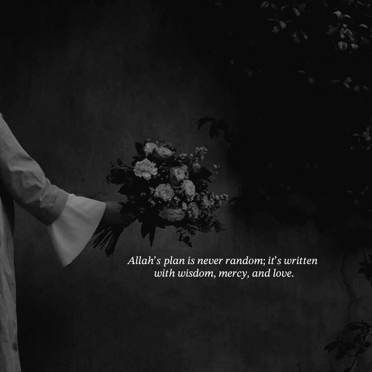 MAYA SHAHAB ᵎᵎ (@o3y_hv) on Twitter photo 