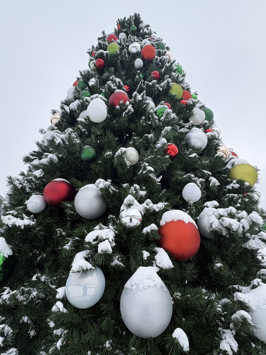 Marissa Deckert tweet media