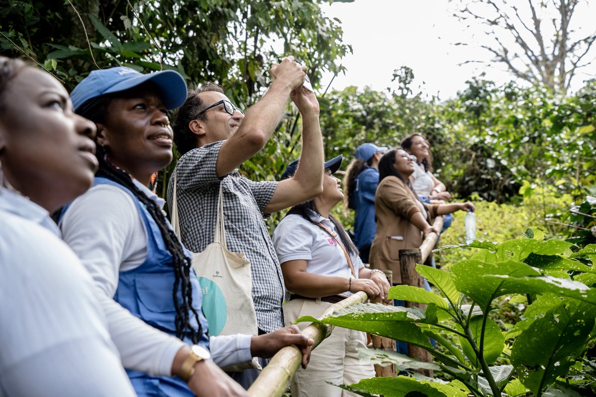 ONUMujeresCol's tweet photo. El acompañamiento de @NoruegaenCOL fue clave para reafirmar el compromiso con la protección, la autonomía económica y el liderazgo de las mujeres que transforman sus territorios y defienden los derechos humanos. 
#Cauca #ProDefensoras https://t.co/oD7KVMu2tJ
