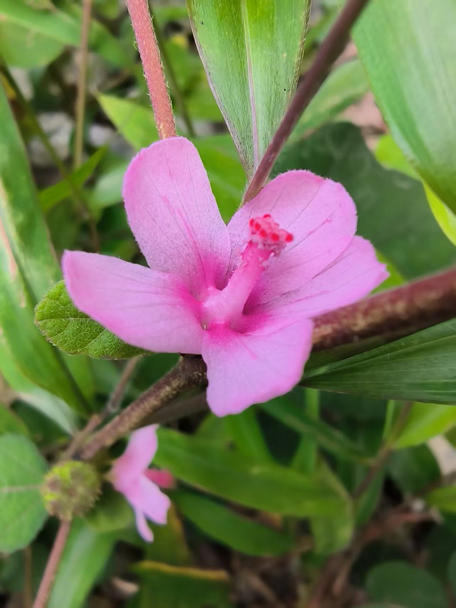 wdr2oversea (@wdr2oversea) on Twitter photo 