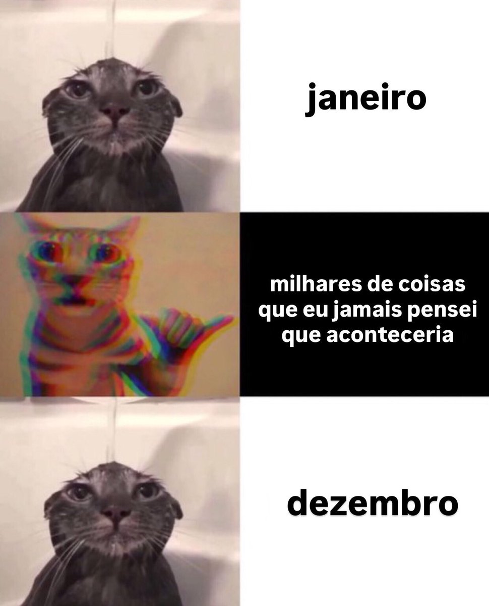 gatinarios's tweet image. 