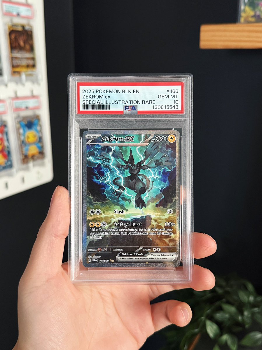 Steven 💎 tweet media