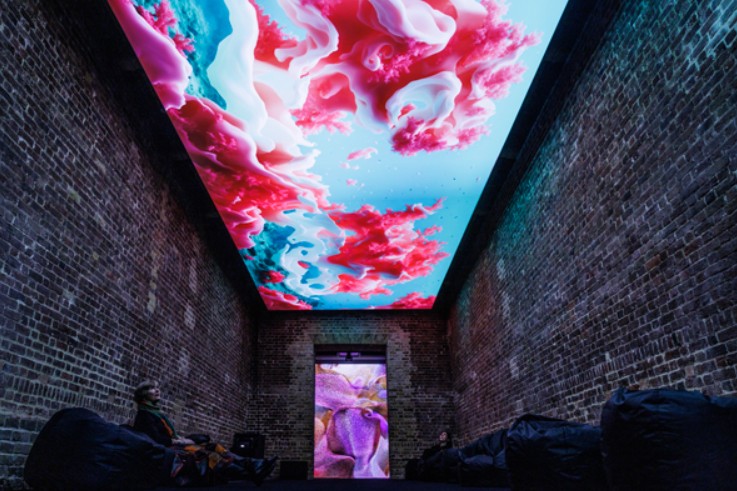 shambholic1's tweet image. This is an AI-generated artwork, made from images of coral reefs and rainforests. Exhibited by Refik Anadol at the Serpentine North Gallery in London. 
#AI #art #artwork #environment #coral #coralreef #rainforests