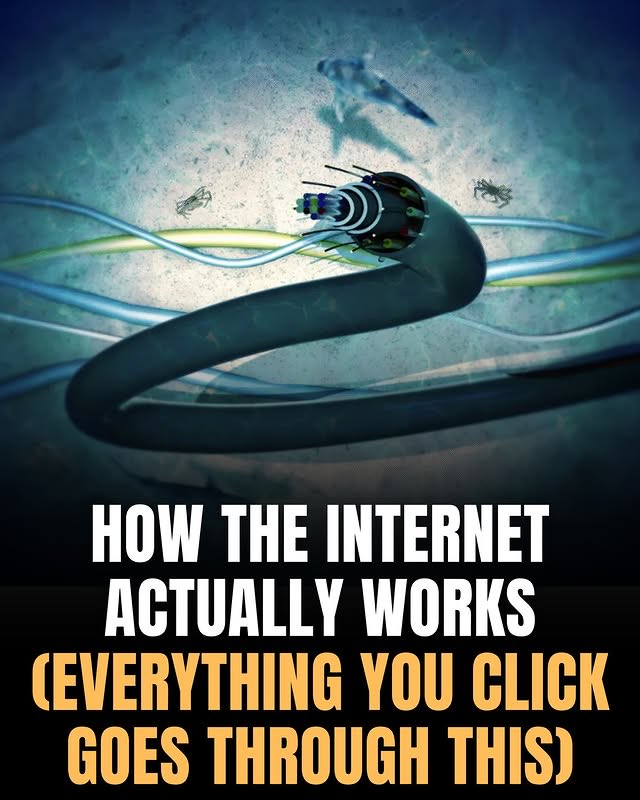 How the internet really works
Thread 🧵