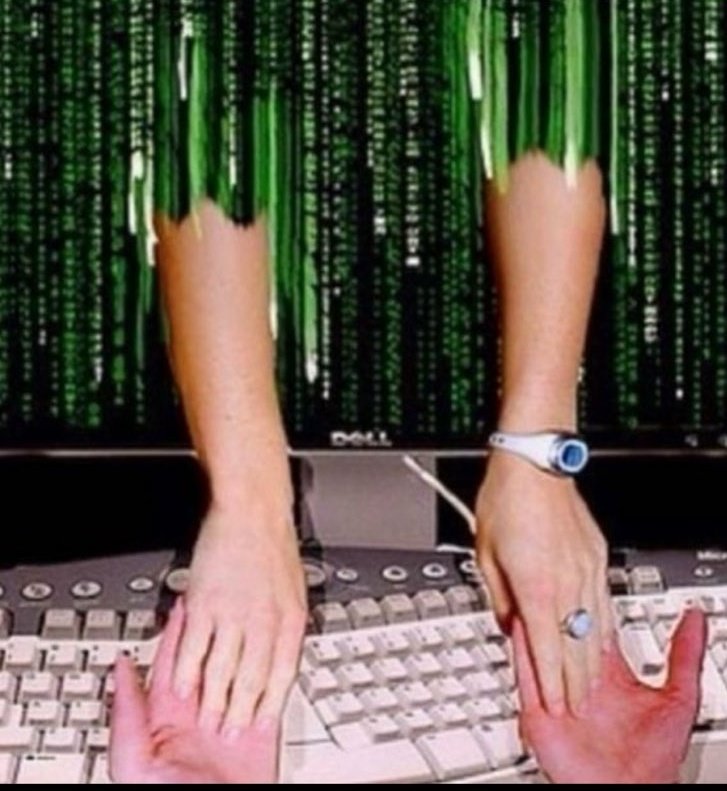 lizz zef tweet media