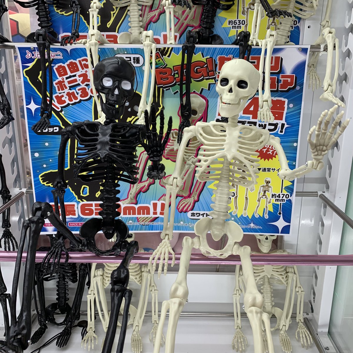 🦴💀景品入荷情報💀🦴 本日、当店に 「超BIG！#ガイコツフィギュア