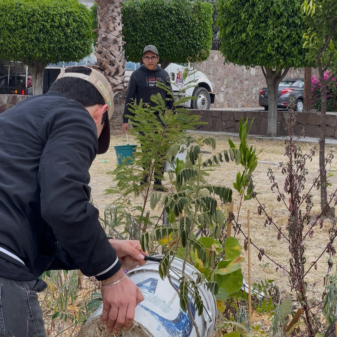 ArticuloCuarto's tweet photo. 🌿 Gracias a todas y todos los que se suman al riego del Parque Miyawaki.

💧 La comunidad mantiene vivo nuestro bosque urbano.

🤝 Y un agradecimiento especial a @DGOP_Leon y @ULaSalleBajio por apoyar en el mantenimiento. ¡Trabajo en equipo que sí florece! https://t.co/cUCUhU4yeK