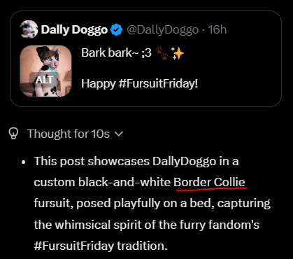 Dally Doggo tweet media