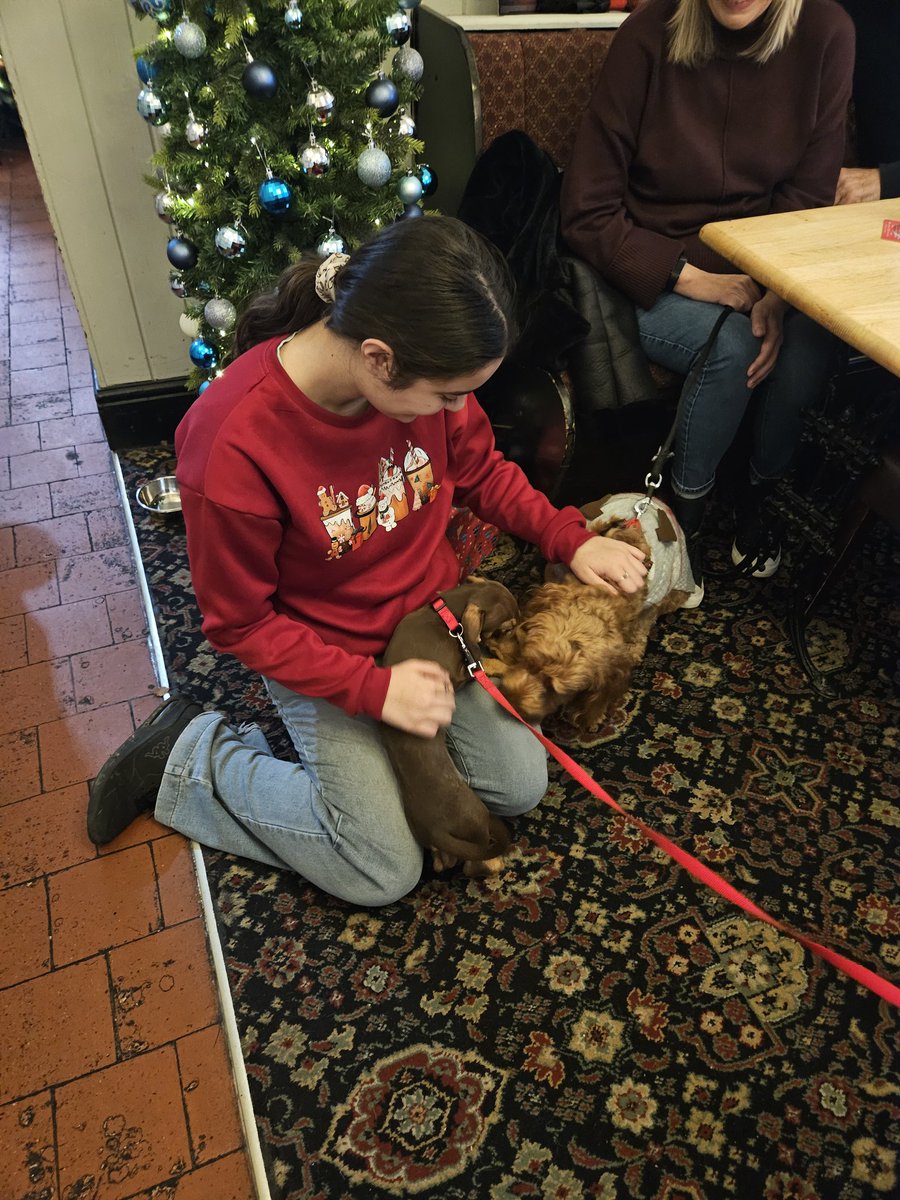 arrowsandcheese's tweet photo. I bloody love Christmas in this village @TheNomadsFc #anstey #woofmas #family @leicslive @Leicester_News #ansteynomads #ChiefsKingdom #Xmas #Christmas2025 #Christmas #youngfarmers @YoungFarmersUK #tractorrun https://t.co/tdYZ4UOITR
