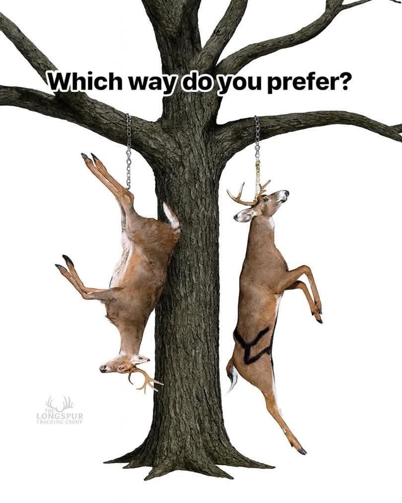 Weekend Warriorz (@warriorzweekend) on Twitter photo 