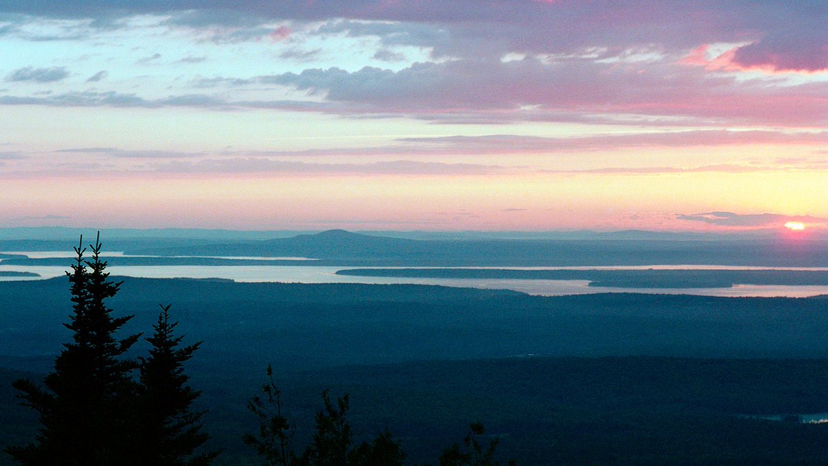 nev_in_color's tweet image. moments in maine on 35mm 🎞️