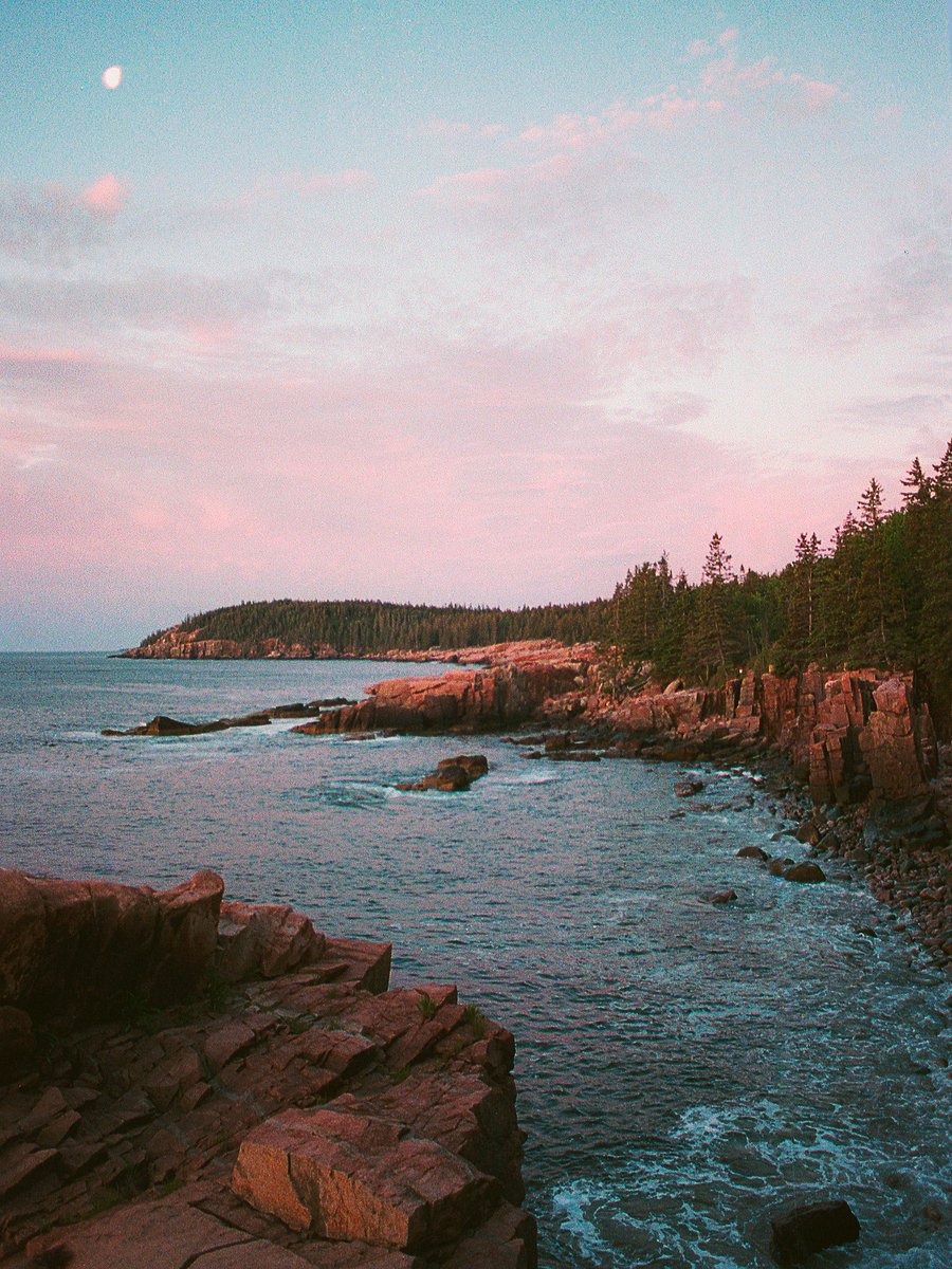 nev_in_color's tweet image. moments in maine on 35mm 🎞️