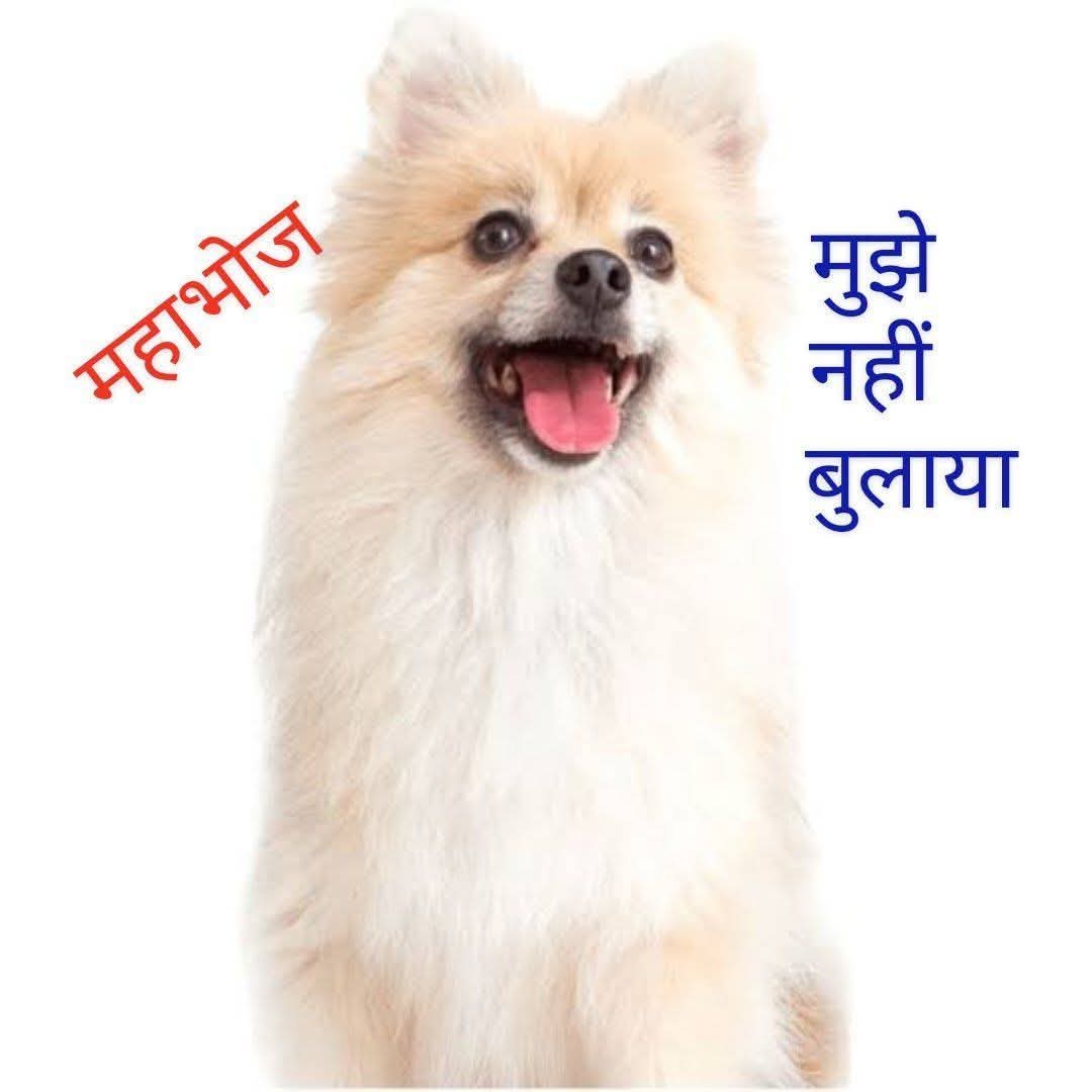 Sgt Dharmendra Sinha (Retd) (@dharmensinha) on Twitter photo 