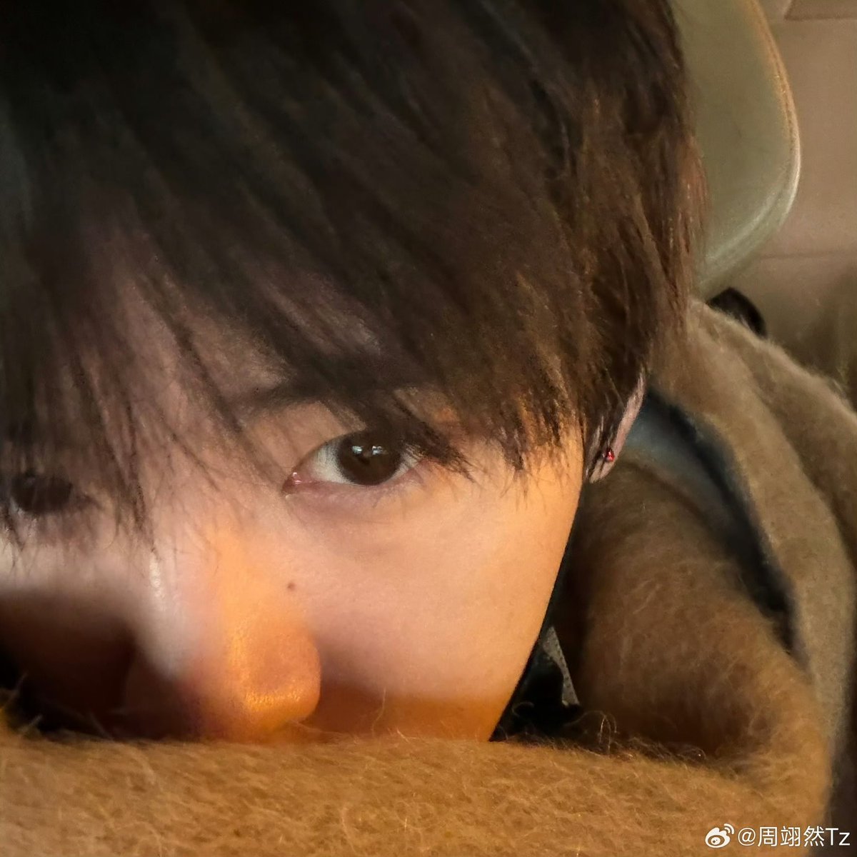 랑 tweet media