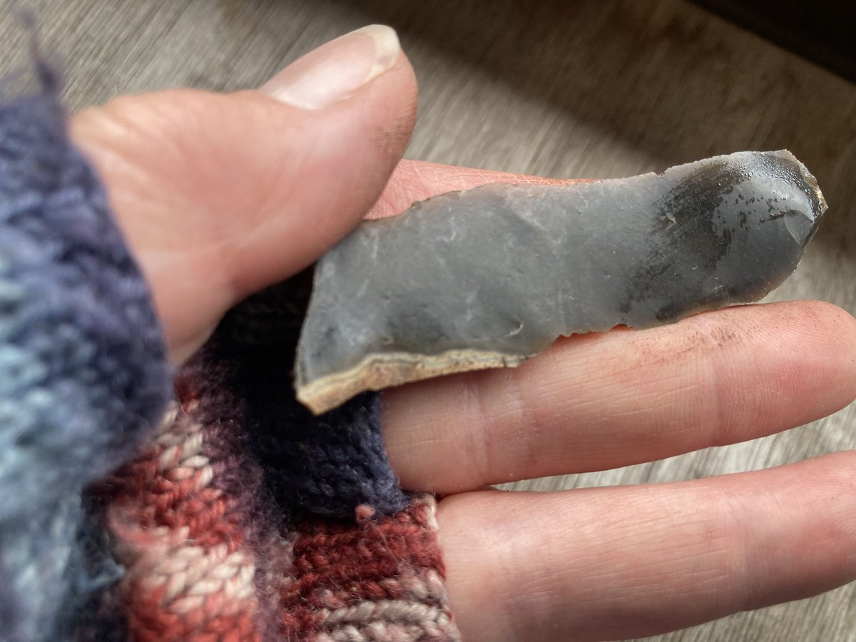 celiahart's tweet photo. Worked flint? or natural?
found in a mole hill at Lackford Lakes #breckland #westsuffolk https://t.co/lJI90eZmAt