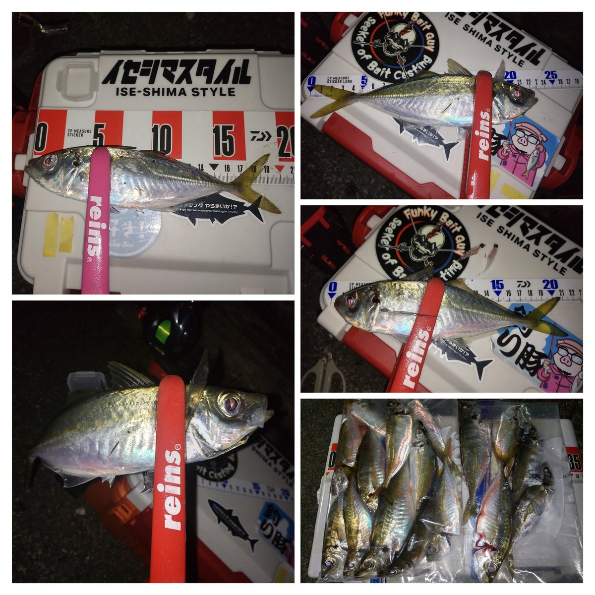 hanimal46's tweet image. 何だかんだといろいろ釣れて本命のオミヤ分も確保して…

撤収ー！

#南方作戦
#お二人様
#釣れたら何でも楽しい