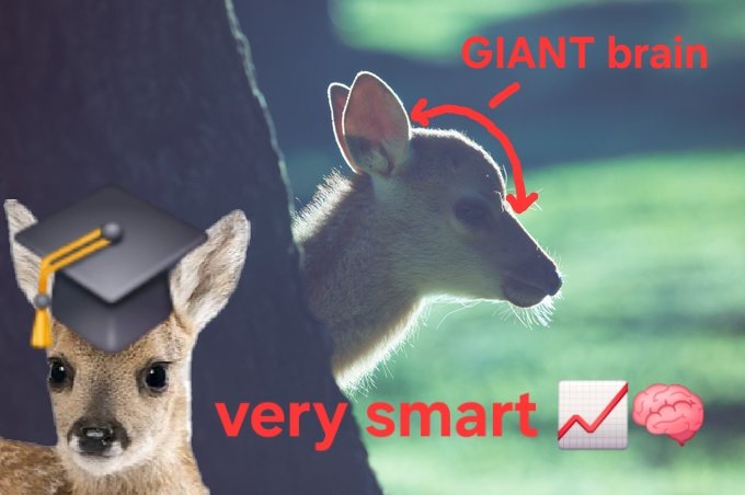 🦌🧠