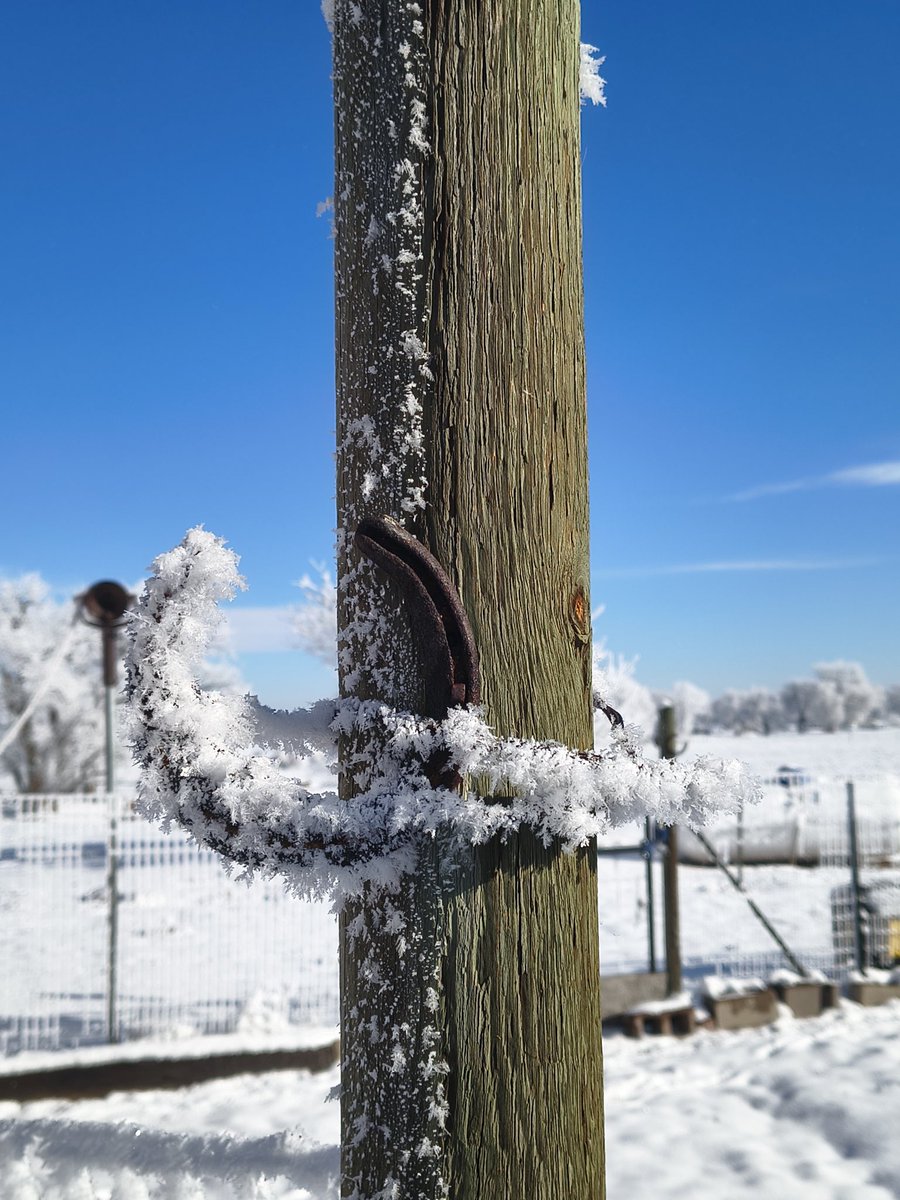 Rick "Worm" 🐛 Charbonneau tweet media