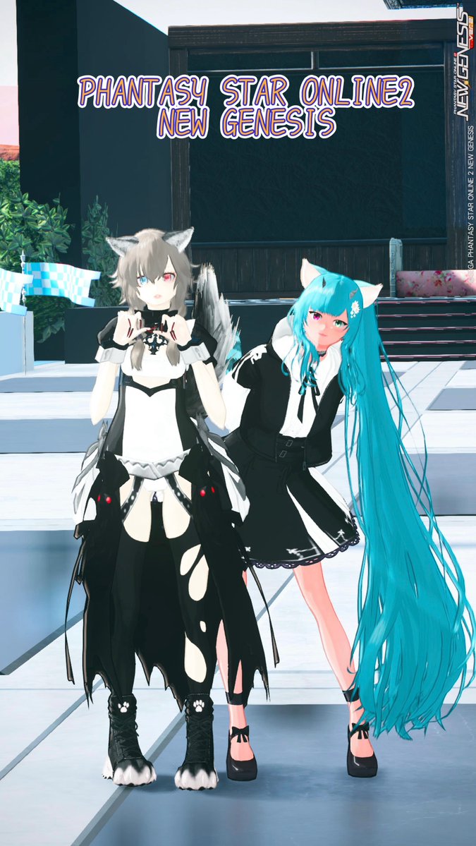 ケモっ娘集会で早速夢ちゃん盗撮(*´ 艸｀) #PSO2NGS_SS