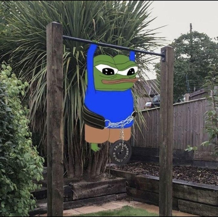 HOLYCRYPTS tweet media