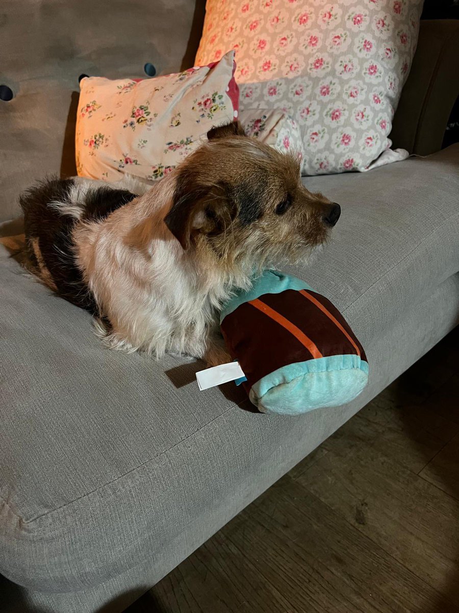 Poopsnoop tweet media